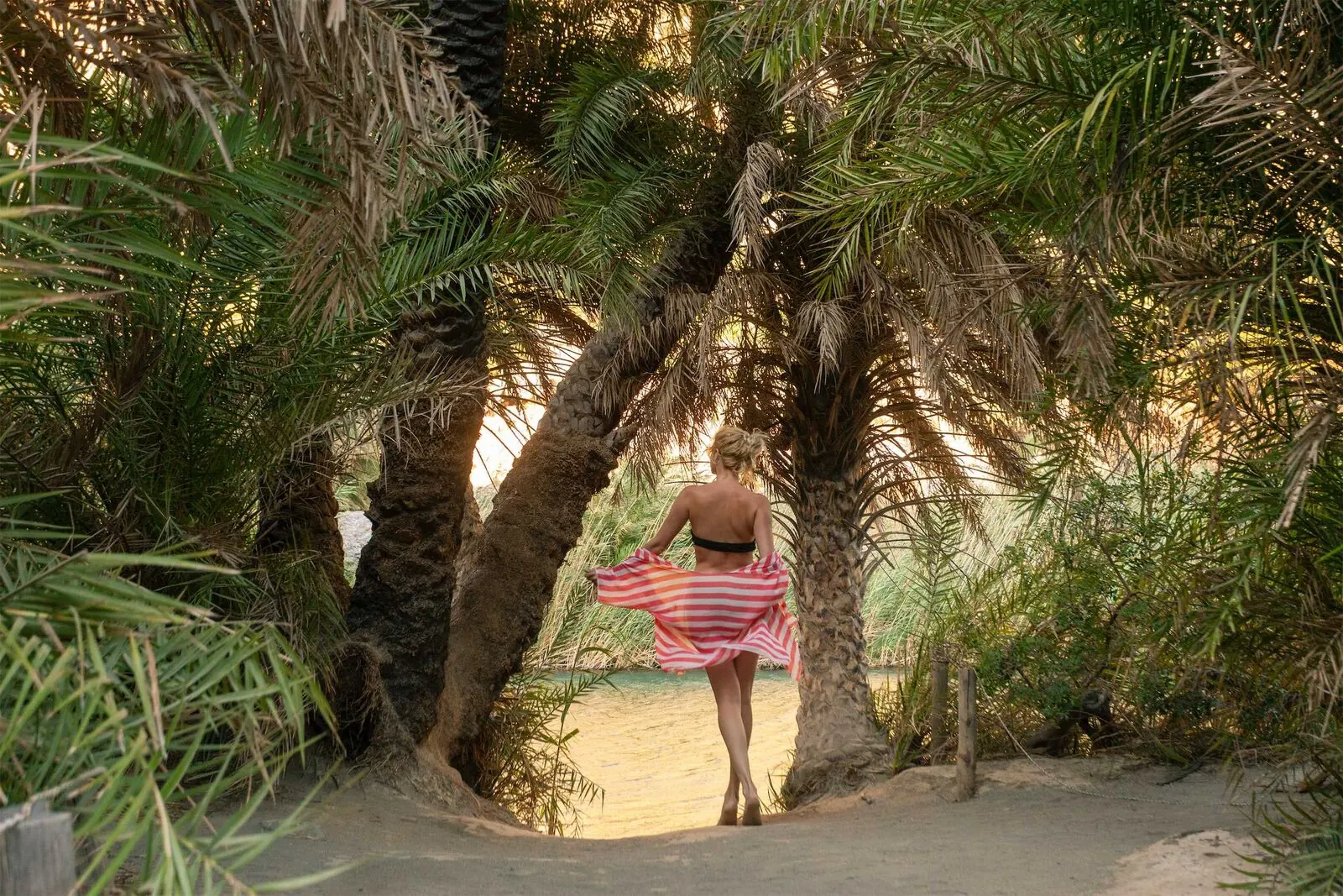 Preveli palm grove and river