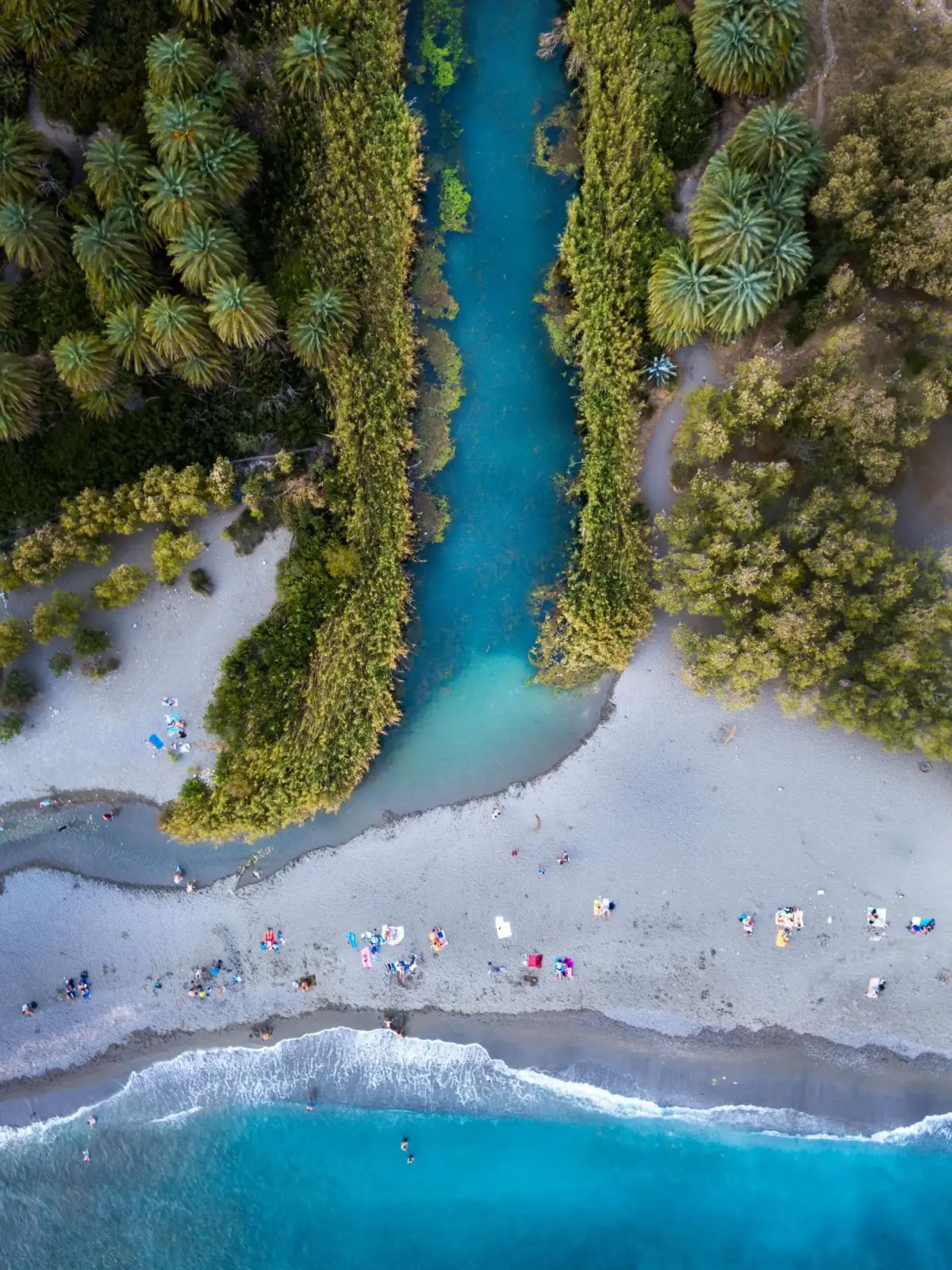 Preveli palm grove and river
